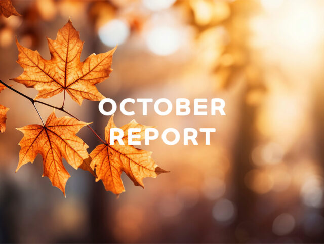 October report on the fund's work