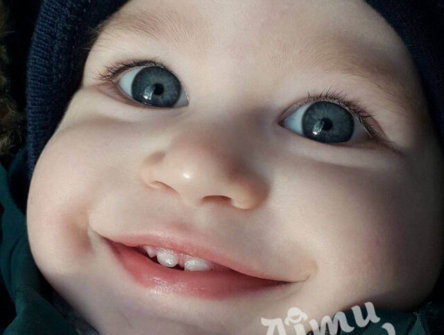 Maksym Shugai. Project "Happiness in Every Family"